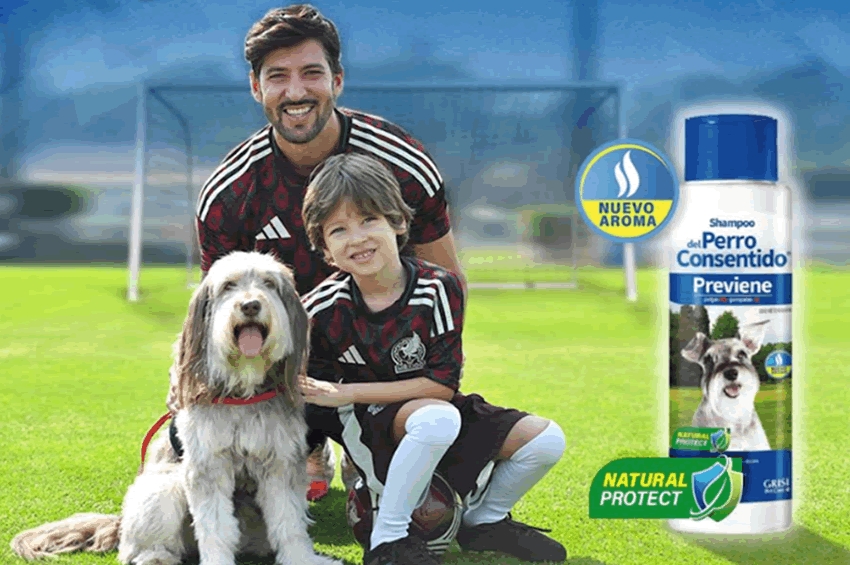 Del Perro Consentido comparte rutina de futbol para realizar con tu mascota