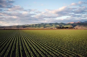 La Costeña reconoce a los agricultores y refuerza su compromiso con el cuidado del campo y su entorno