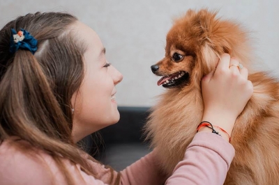 Pasos para un buen cepillado de dientes en tu perro