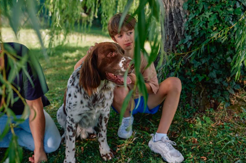 Vacaciones felices libres de pulgas, garrapatas y otros parásitos en tus gatos y perros