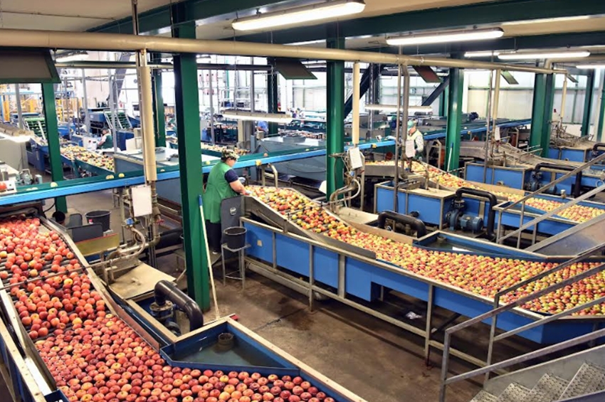La inocuidad alimentaria es posible con tecnologías seguras y con un enfoque científico
