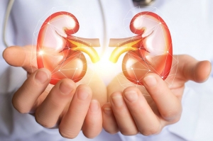 Día Mundial del Riñón. La mayoría de los casos de Enfermedad Renal Crónica se diagnostican cuando las funciones renales se han deteriorado en un 70%