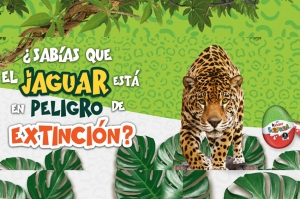 Kinder y Reino Animal Unidos por la conservación del jaguar en México