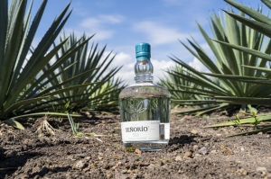 Celebremos el Día del Mezcal con Señorío y conozcamos una de las mágicas historias para degustarlo