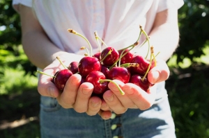 6 beneficios de las cerezas de verano que no conocías