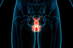 Día Mundial de Cáncer de Próstata