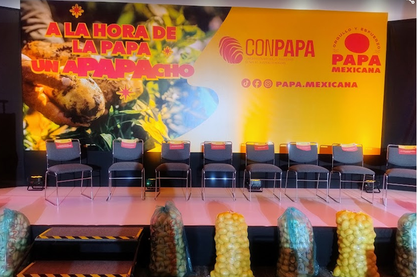 Conpapa le pone sabor a su nueva campaña para que comamos más papa mexicana